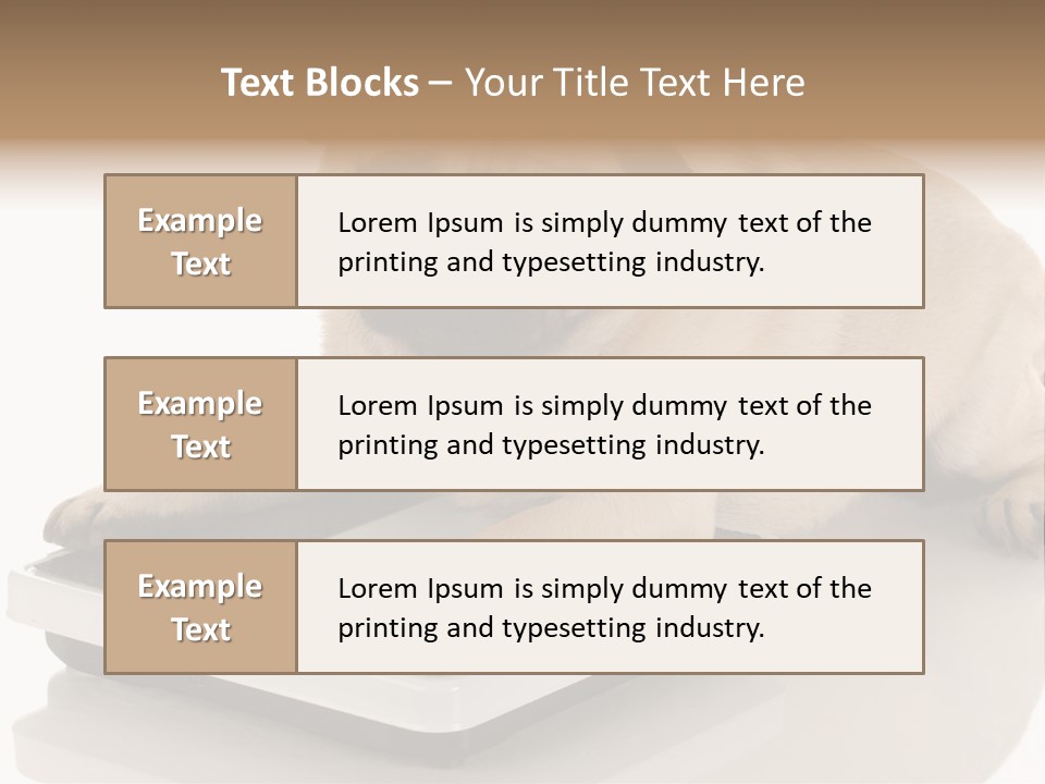 Studio Doggy Purebred PowerPoint Template