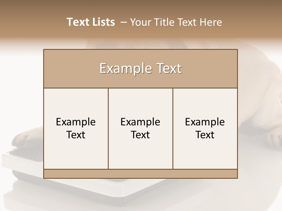 Studio Doggy Purebred PowerPoint Template