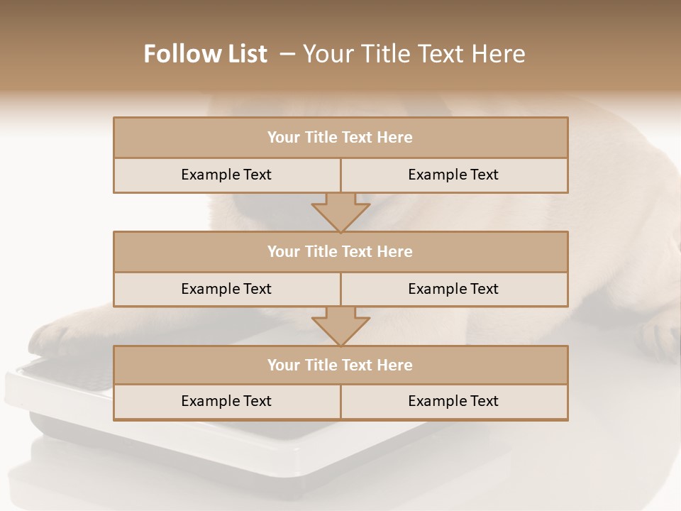 Studio Doggy Purebred PowerPoint Template