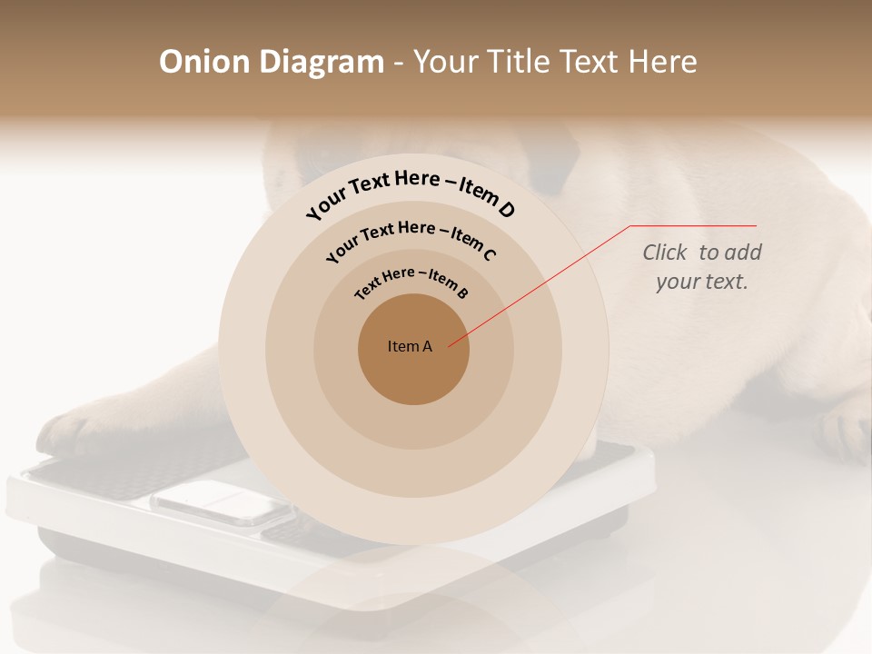 Studio Doggy Purebred PowerPoint Template