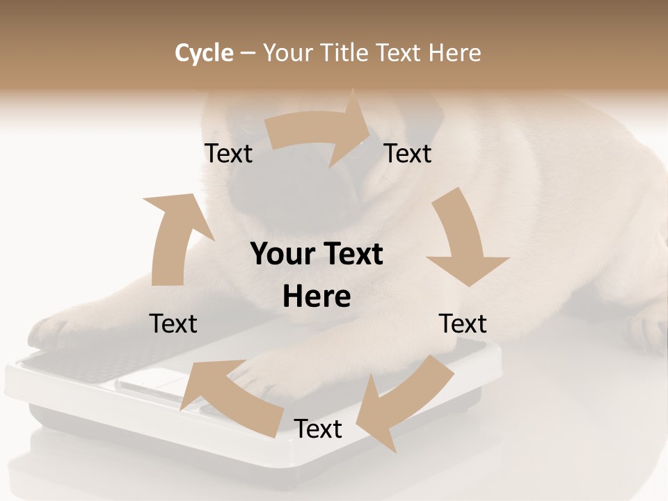 Studio Doggy Purebred PowerPoint Template