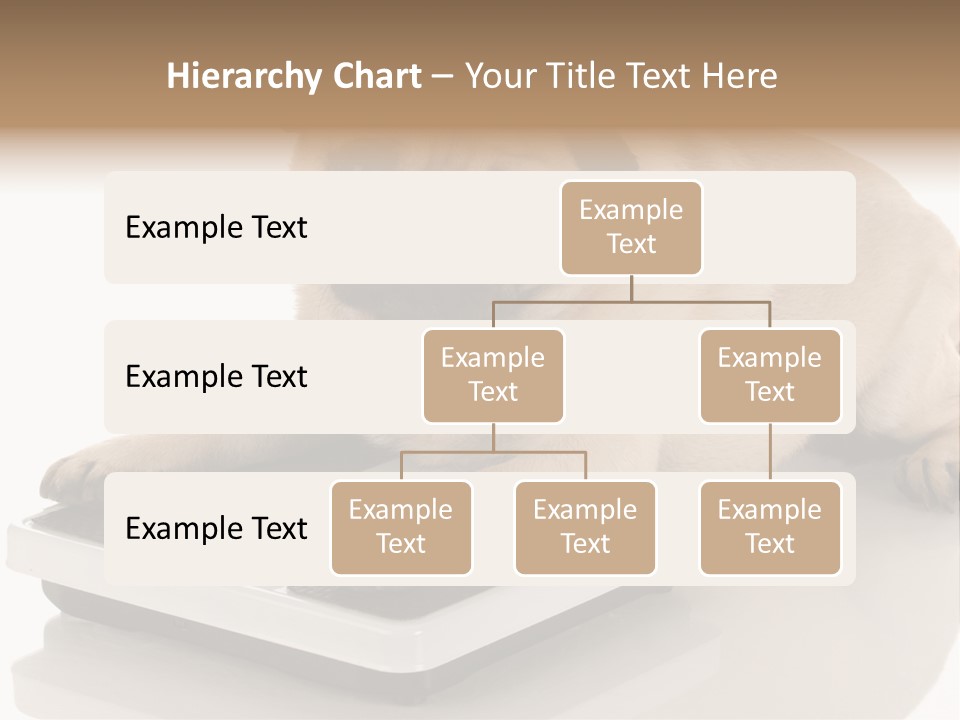 Studio Doggy Purebred PowerPoint Template