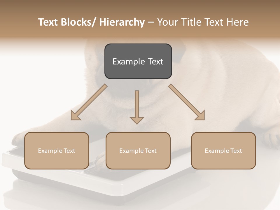 Studio Doggy Purebred PowerPoint Template