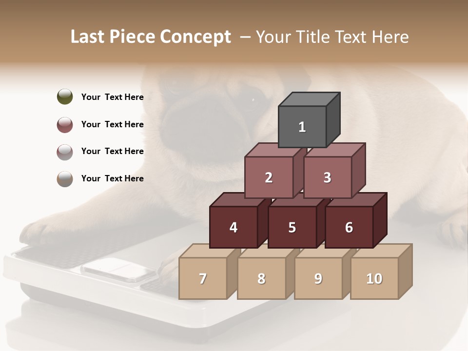 Studio Doggy Purebred PowerPoint Template