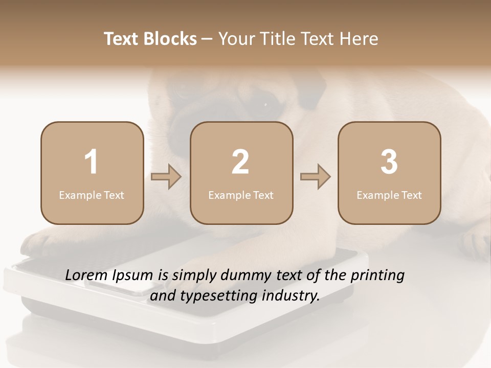 Studio Doggy Purebred PowerPoint Template