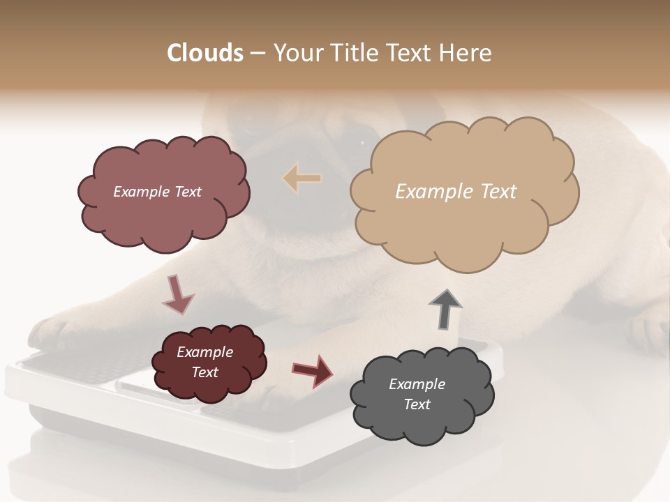 Studio Doggy Purebred PowerPoint Template