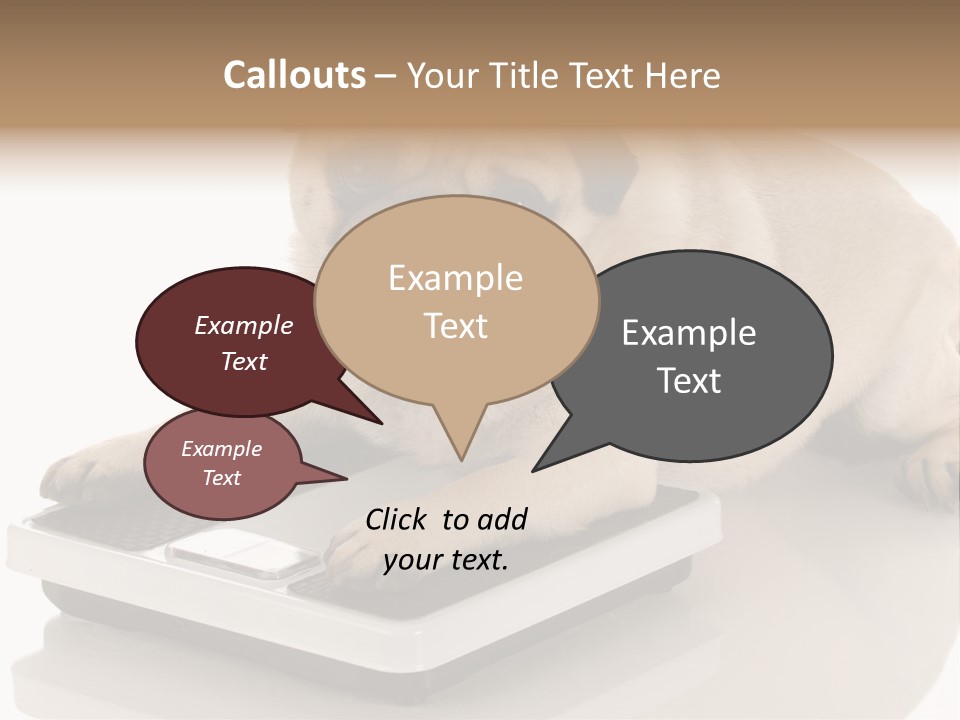 Studio Doggy Purebred PowerPoint Template