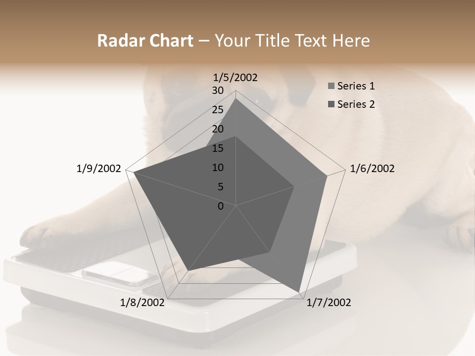 Studio Doggy Purebred PowerPoint Template