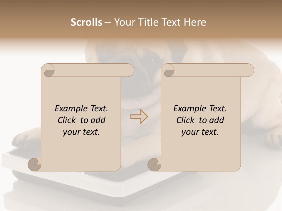 Studio Doggy Purebred PowerPoint Template