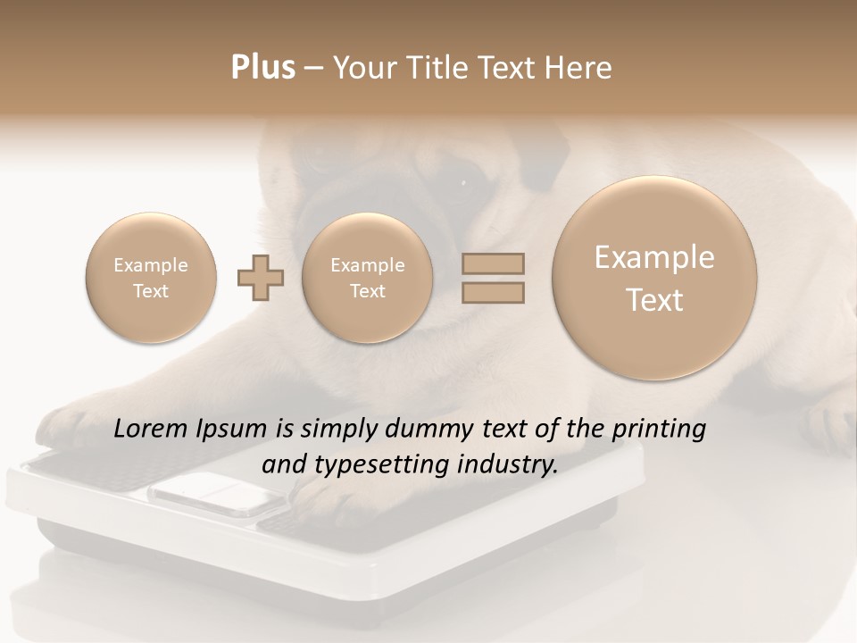 Studio Doggy Purebred PowerPoint Template