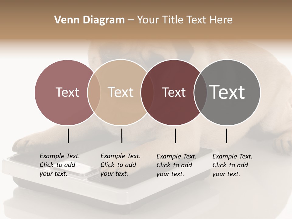 Studio Doggy Purebred PowerPoint Template