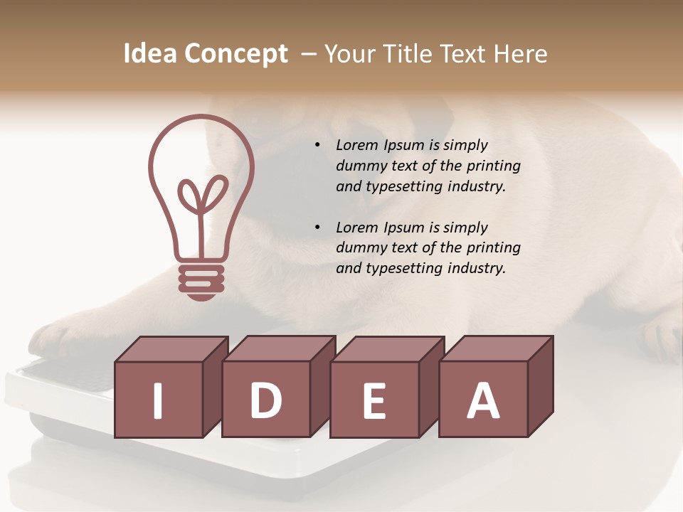 Studio Doggy Purebred PowerPoint Template