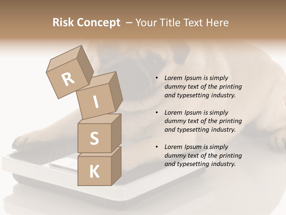 Studio Doggy Purebred PowerPoint Template