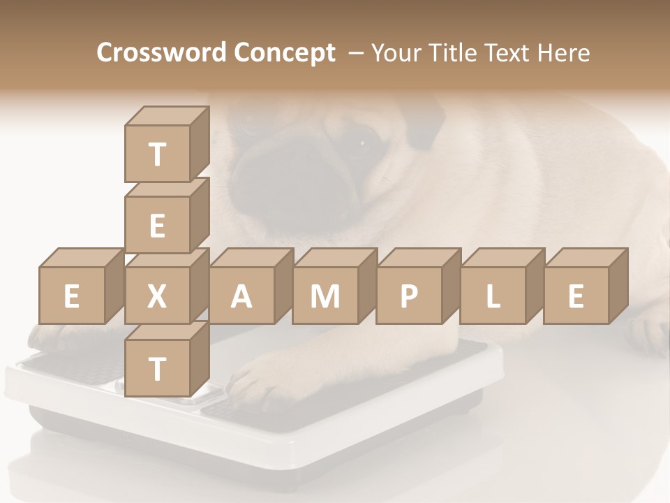 Studio Doggy Purebred PowerPoint Template