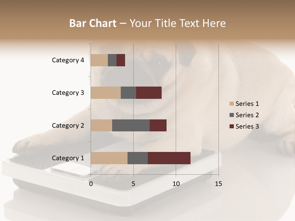 Studio Doggy Purebred PowerPoint Template