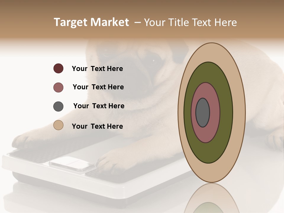 Studio Doggy Purebred PowerPoint Template