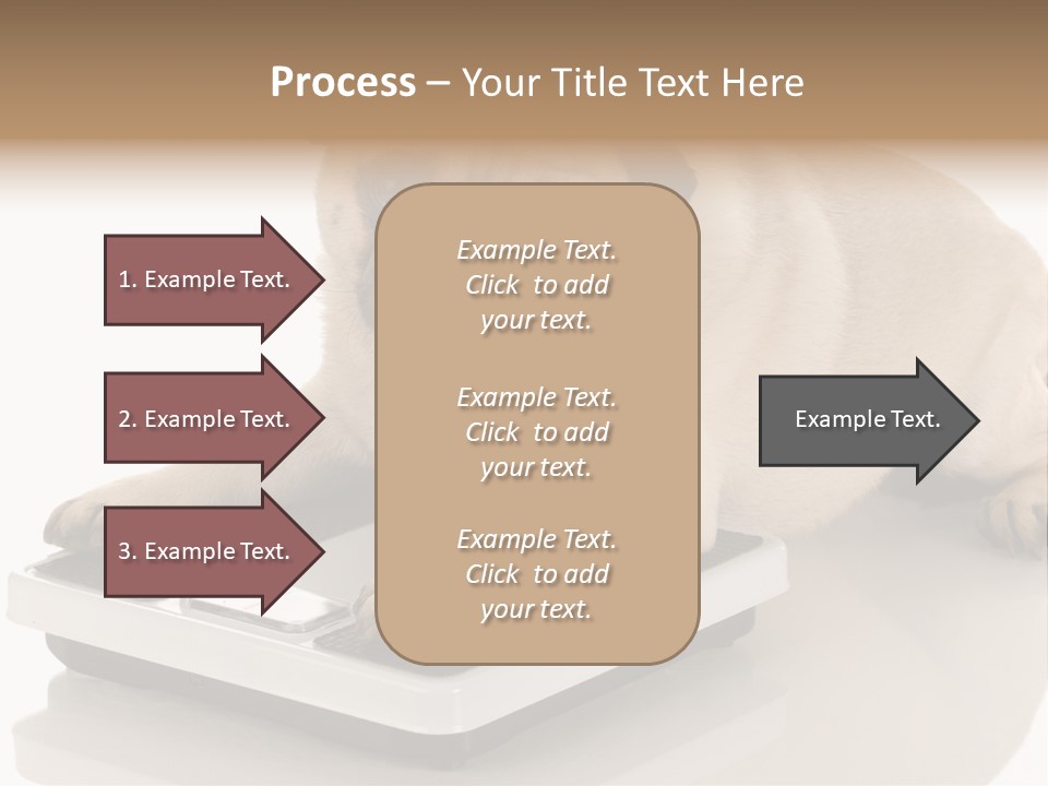 Studio Doggy Purebred PowerPoint Template