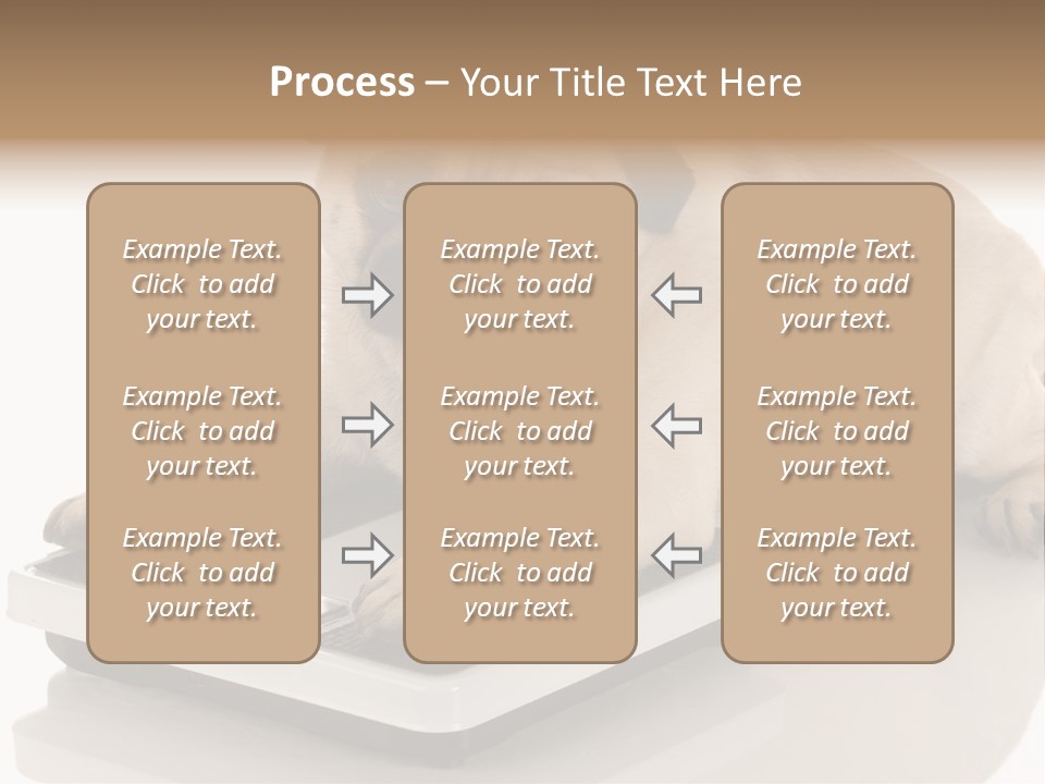 Studio Doggy Purebred PowerPoint Template