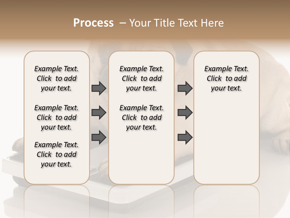 Studio Doggy Purebred PowerPoint Template