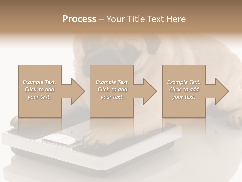 Studio Doggy Purebred PowerPoint Template