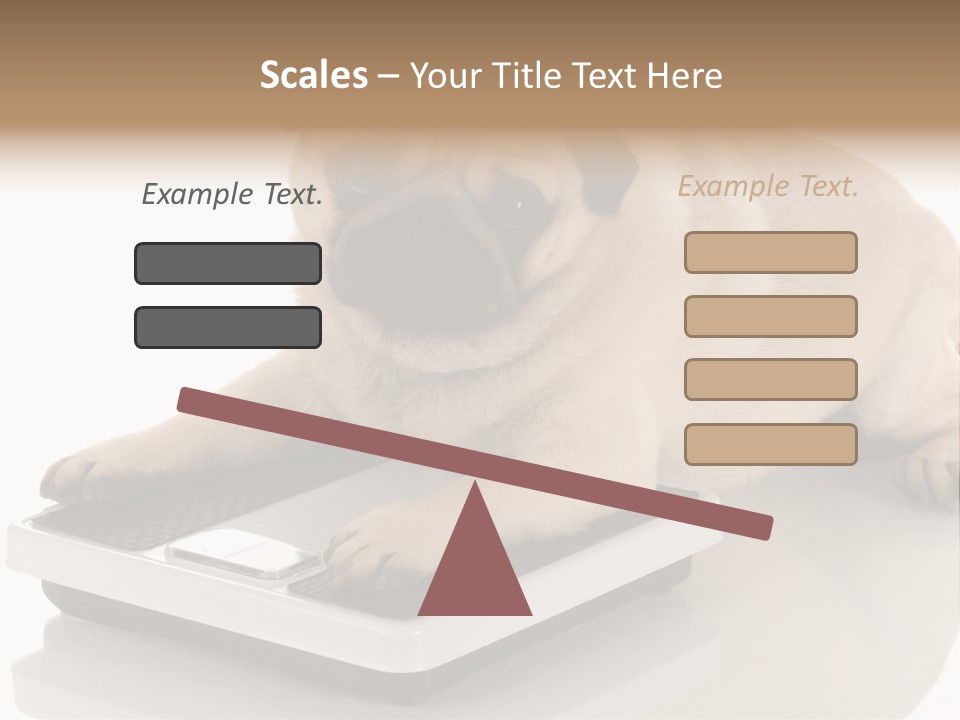 Studio Doggy Purebred PowerPoint Template