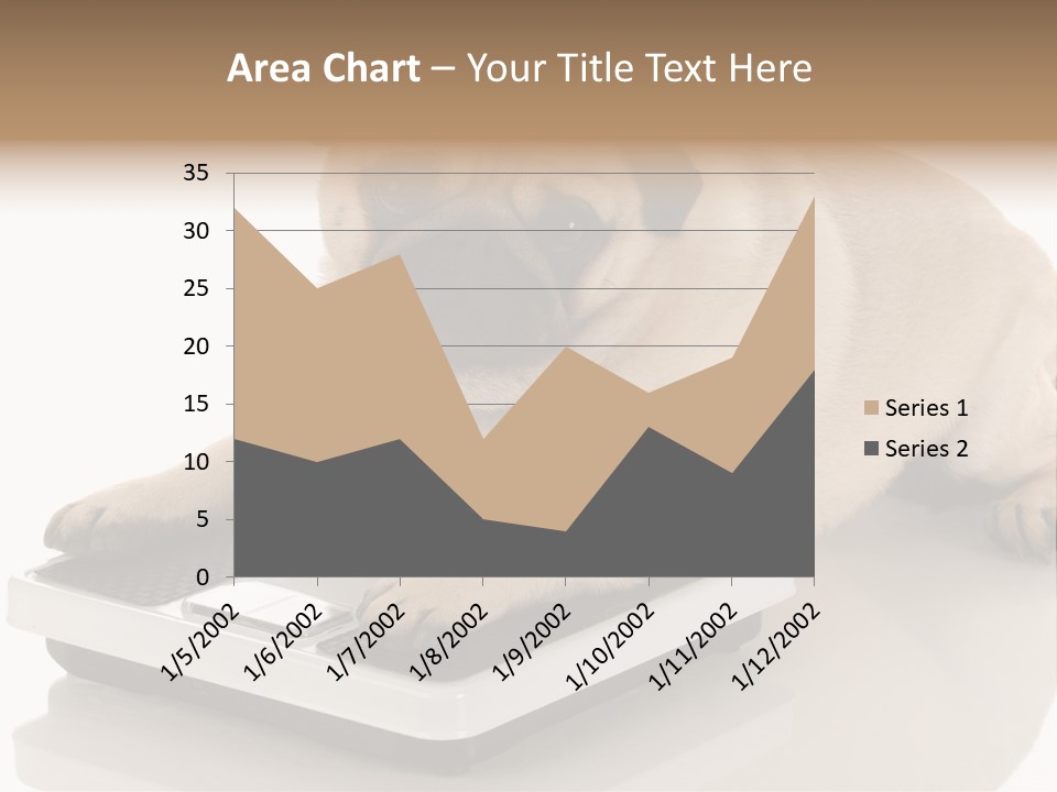 Studio Doggy Purebred PowerPoint Template