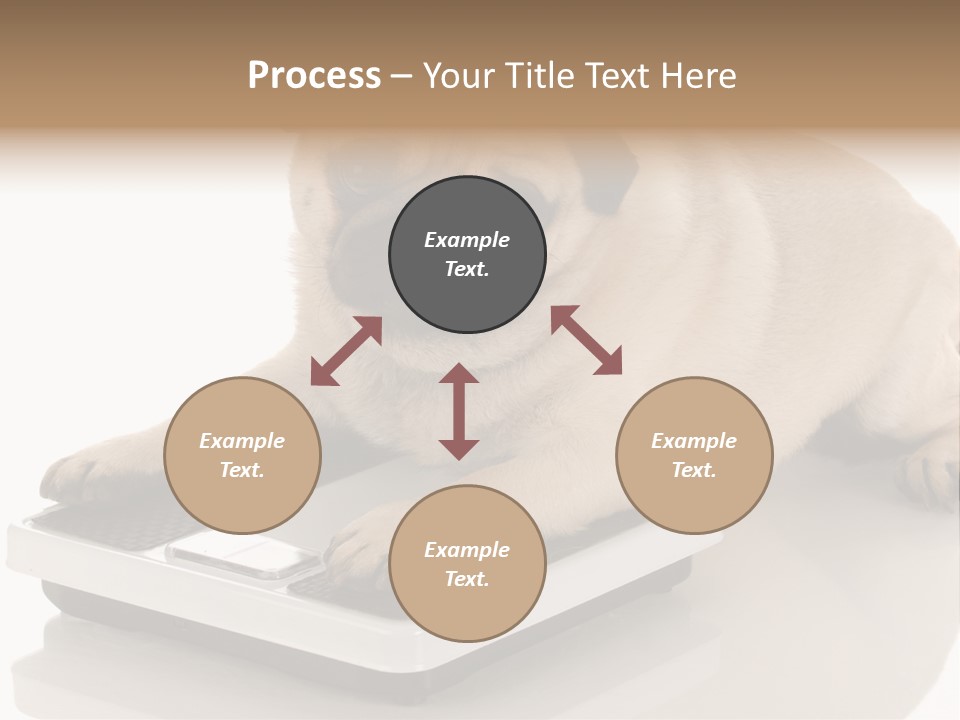 Studio Doggy Purebred PowerPoint Template