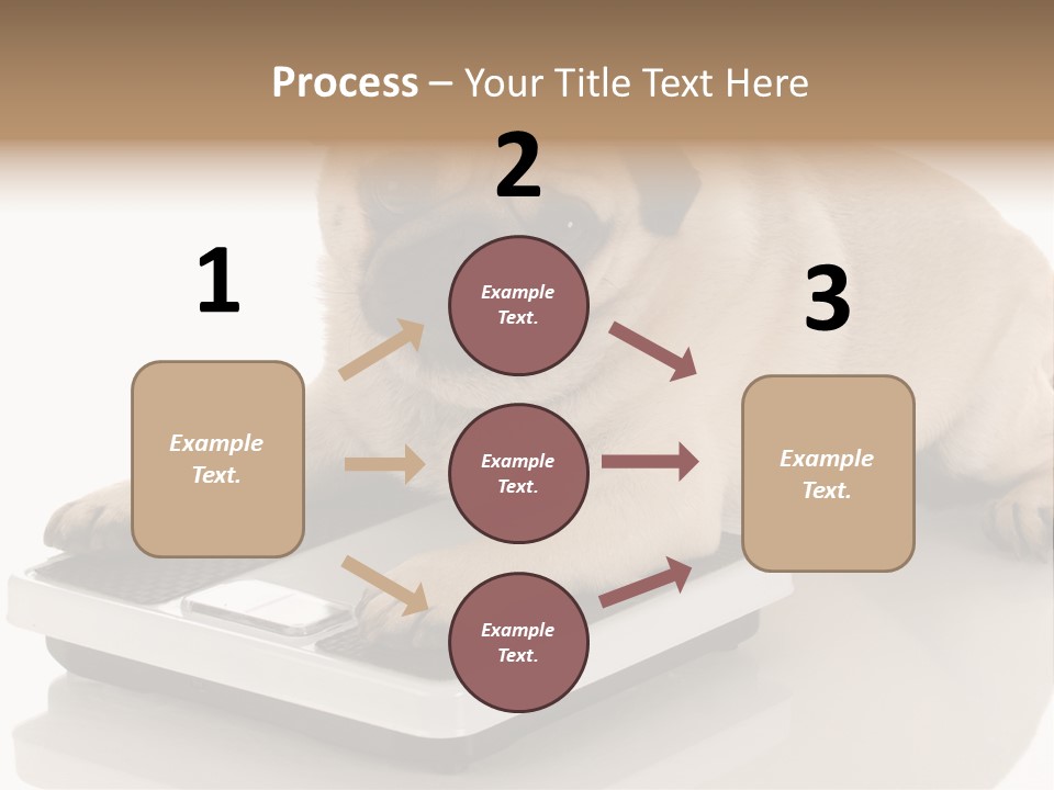 Studio Doggy Purebred PowerPoint Template