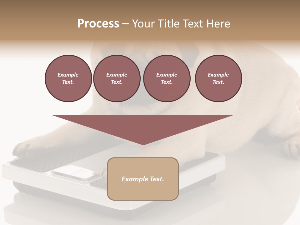 Studio Doggy Purebred PowerPoint Template