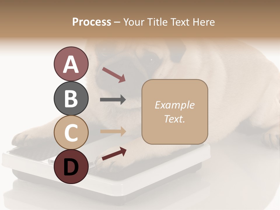 Studio Doggy Purebred PowerPoint Template