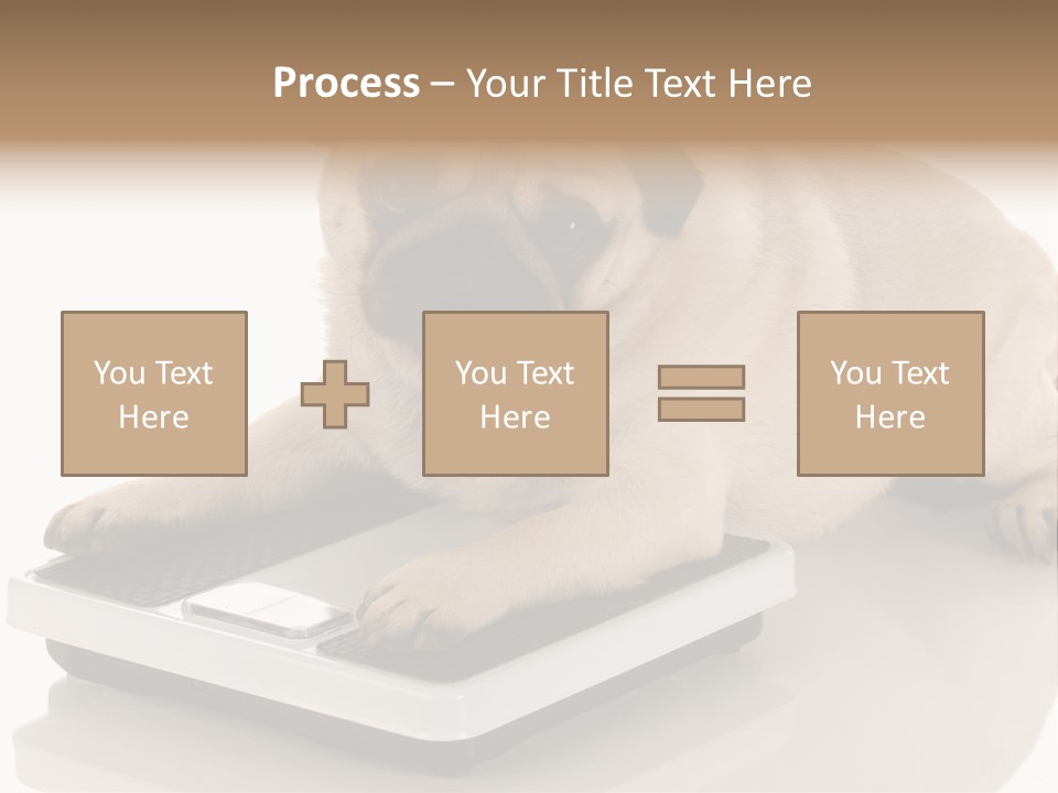 Studio Doggy Purebred PowerPoint Template