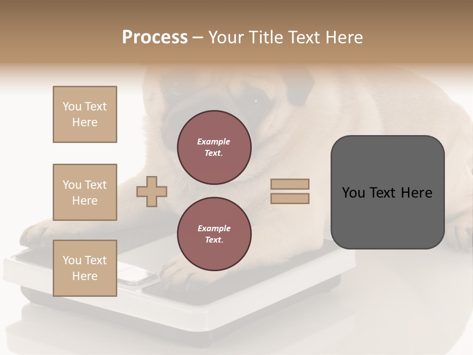 Studio Doggy Purebred PowerPoint Template