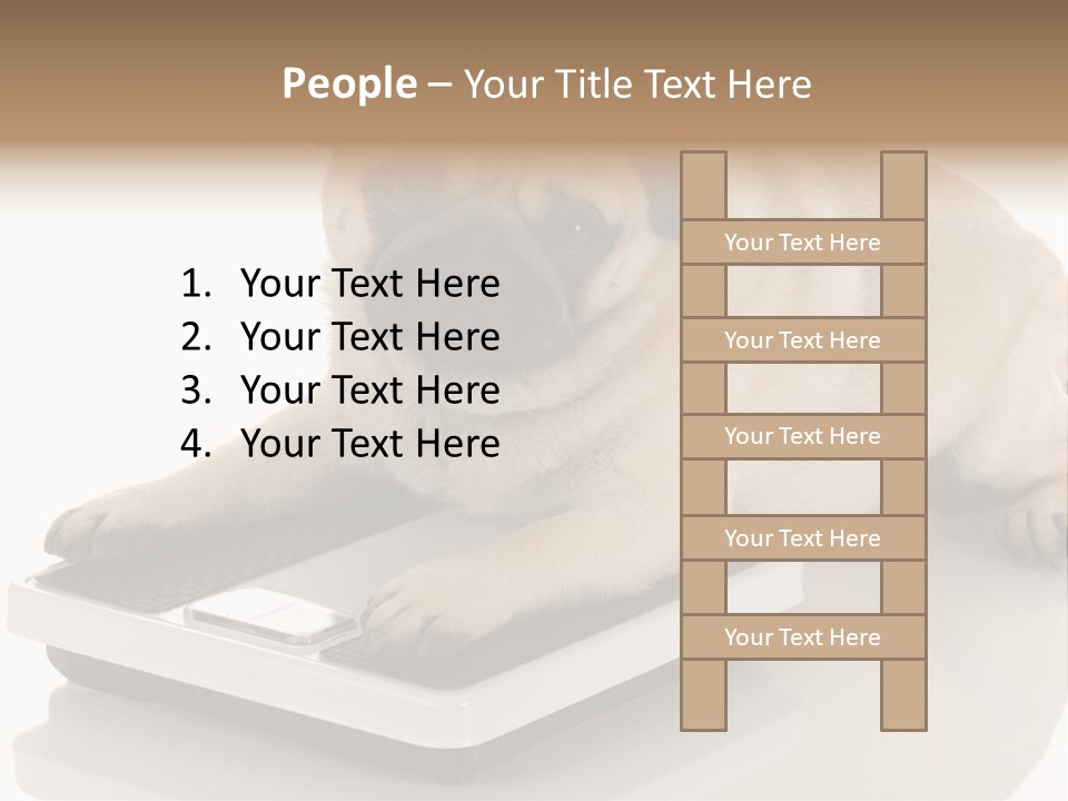 Studio Doggy Purebred PowerPoint Template