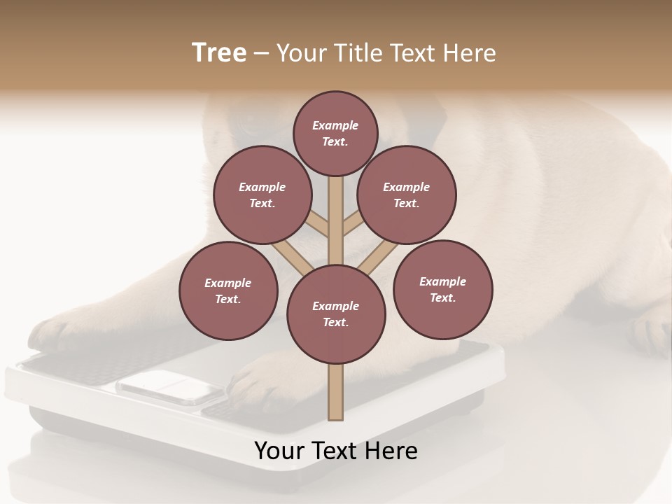 Studio Doggy Purebred PowerPoint Template