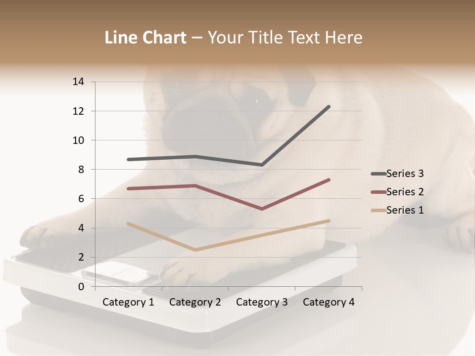 Studio Doggy Purebred PowerPoint Template