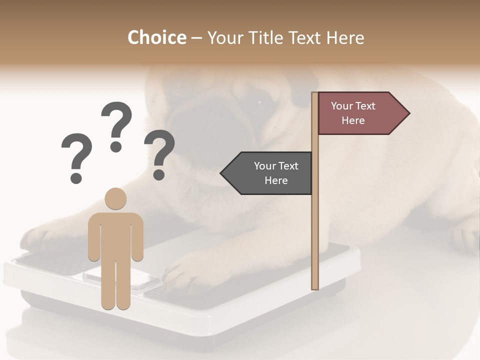 Studio Doggy Purebred PowerPoint Template