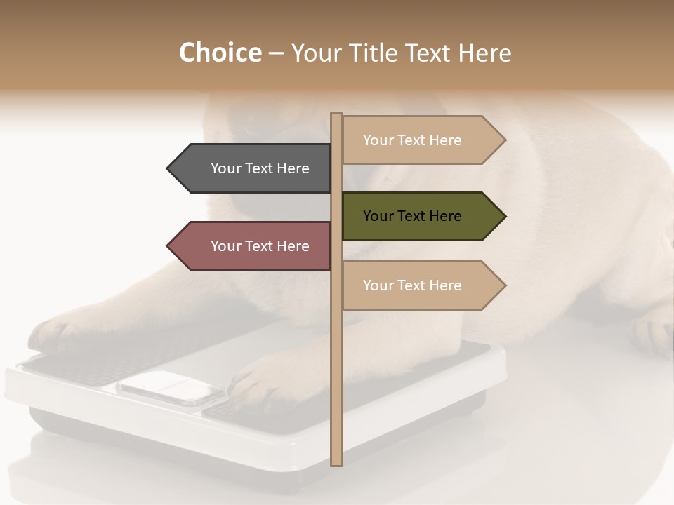 Studio Doggy Purebred PowerPoint Template