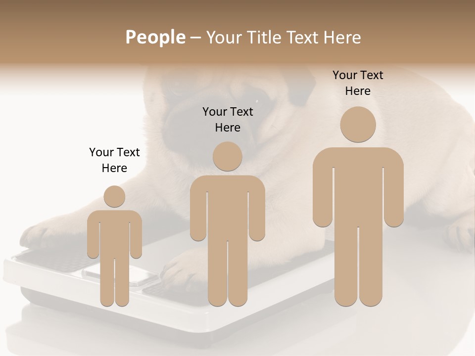 Studio Doggy Purebred PowerPoint Template