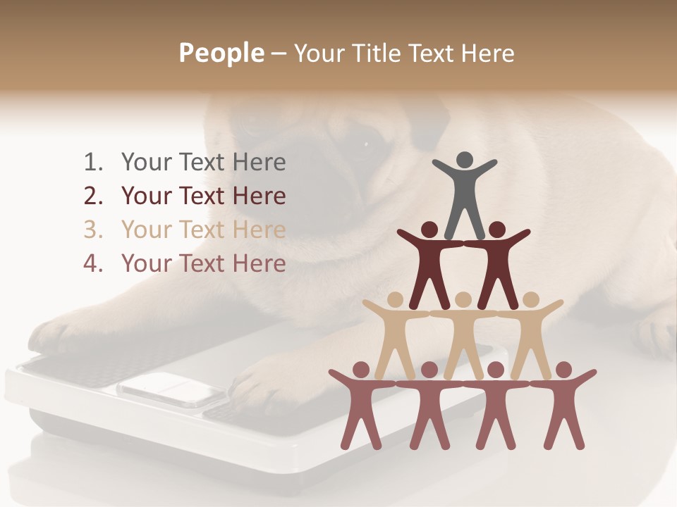 Studio Doggy Purebred PowerPoint Template