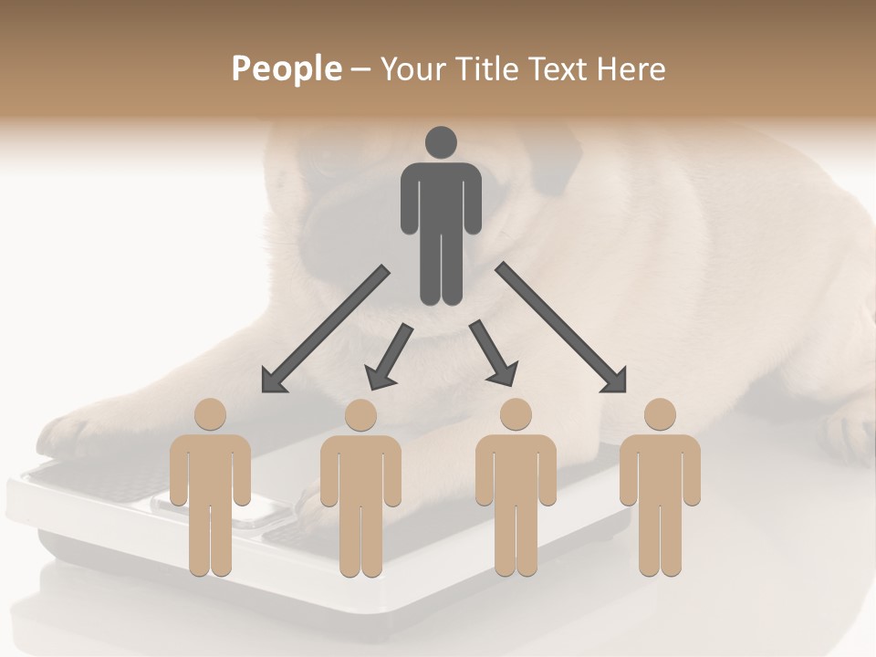 Studio Doggy Purebred PowerPoint Template