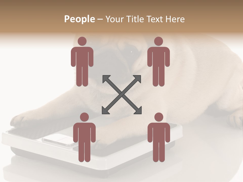 Studio Doggy Purebred PowerPoint Template