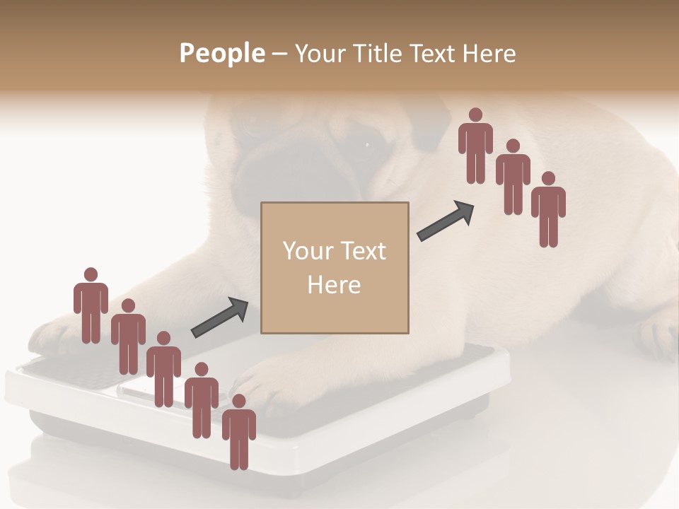 Studio Doggy Purebred PowerPoint Template