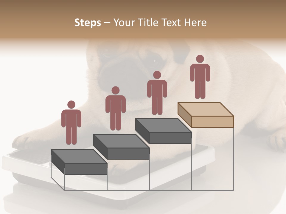 Studio Doggy Purebred PowerPoint Template