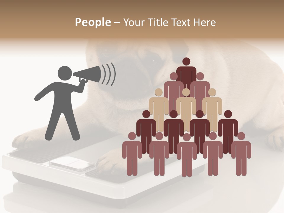 Studio Doggy Purebred PowerPoint Template