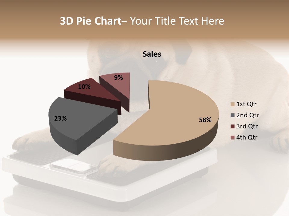 Studio Doggy Purebred PowerPoint Template