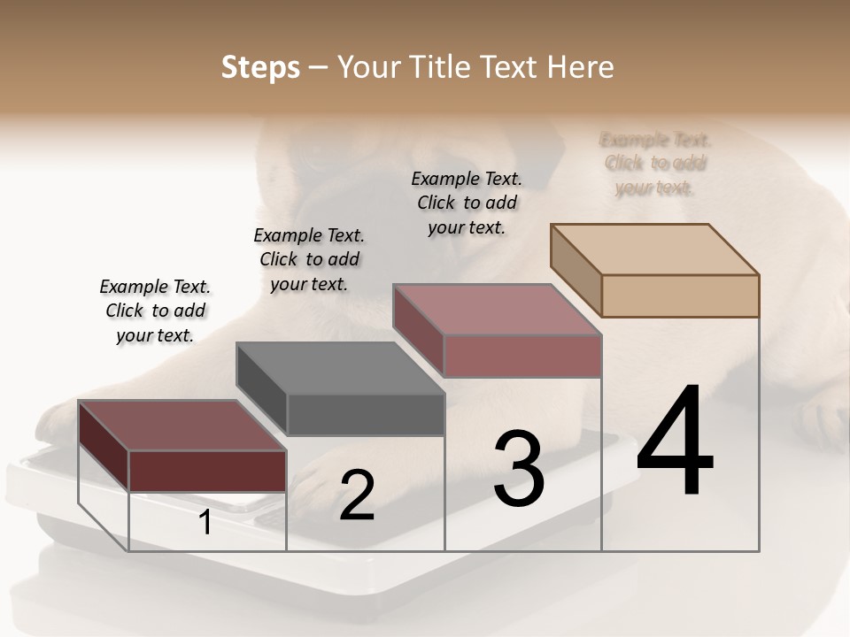 Studio Doggy Purebred PowerPoint Template