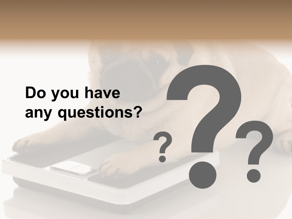 Studio Doggy Purebred PowerPoint Template