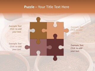 Gloss Drugstore Color PowerPoint Template