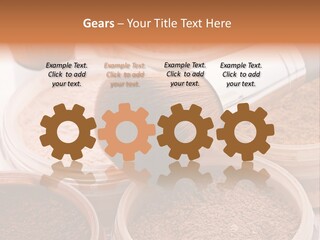 Gloss Drugstore Color PowerPoint Template