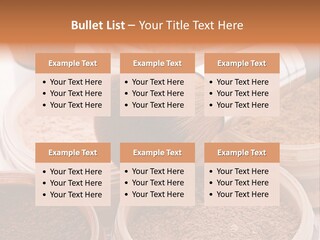 Gloss Drugstore Color PowerPoint Template